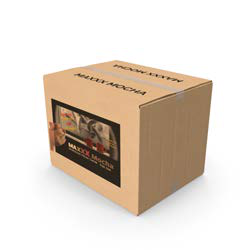 100 SACHETS MAXXX MOCHA (DISPLAY REFILL)